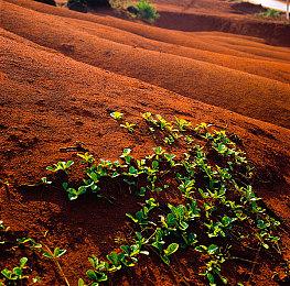 《赛博朋克2077：往日之影》新截图：狗镇中心